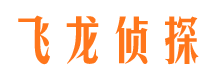 雷波私家侦探公司